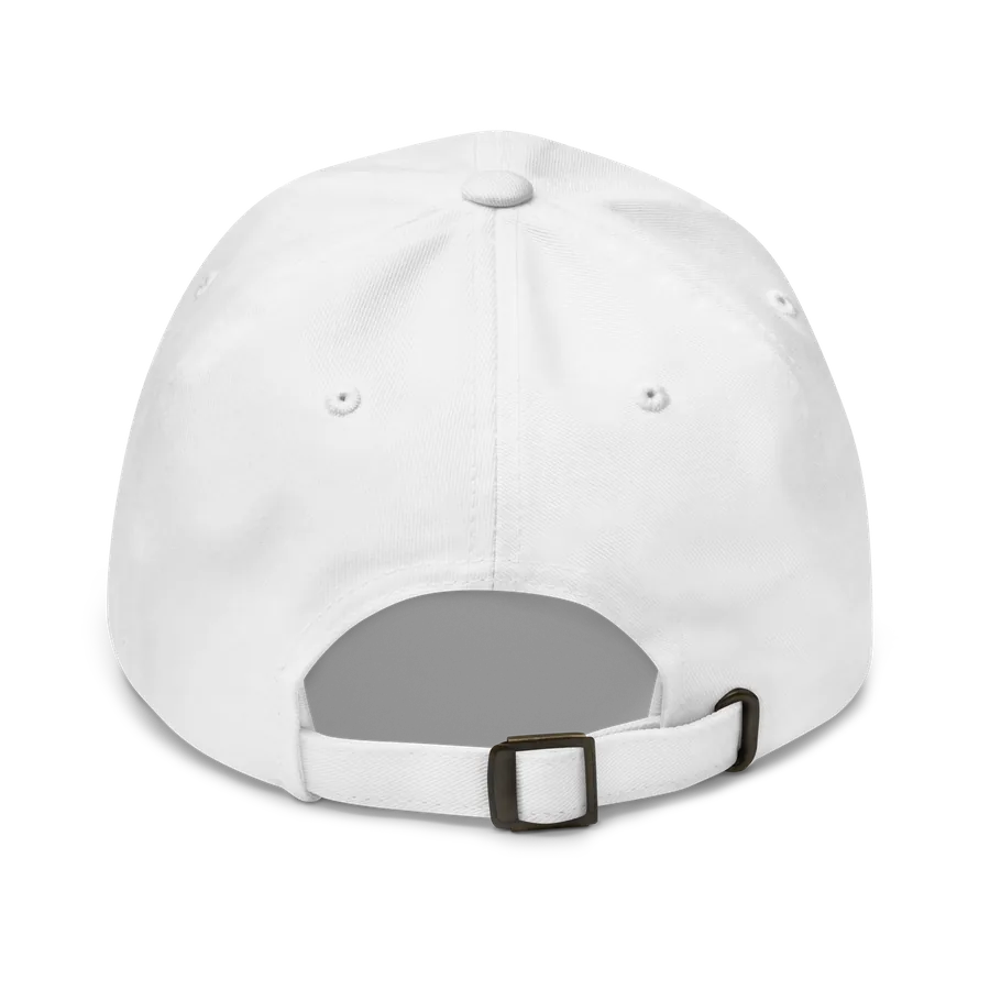 Dad Hat view 6